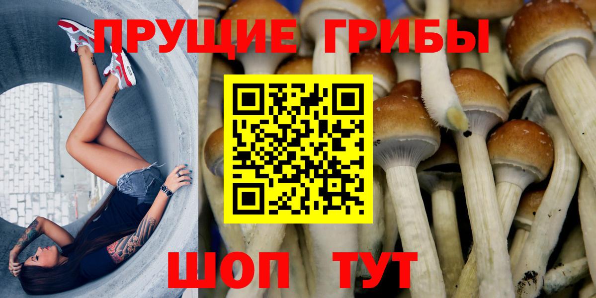 Элиста  Галлюциногенные грибы Magic Shrooms  Вход с VPN  Псилоцибиновые грибы мухоморы 